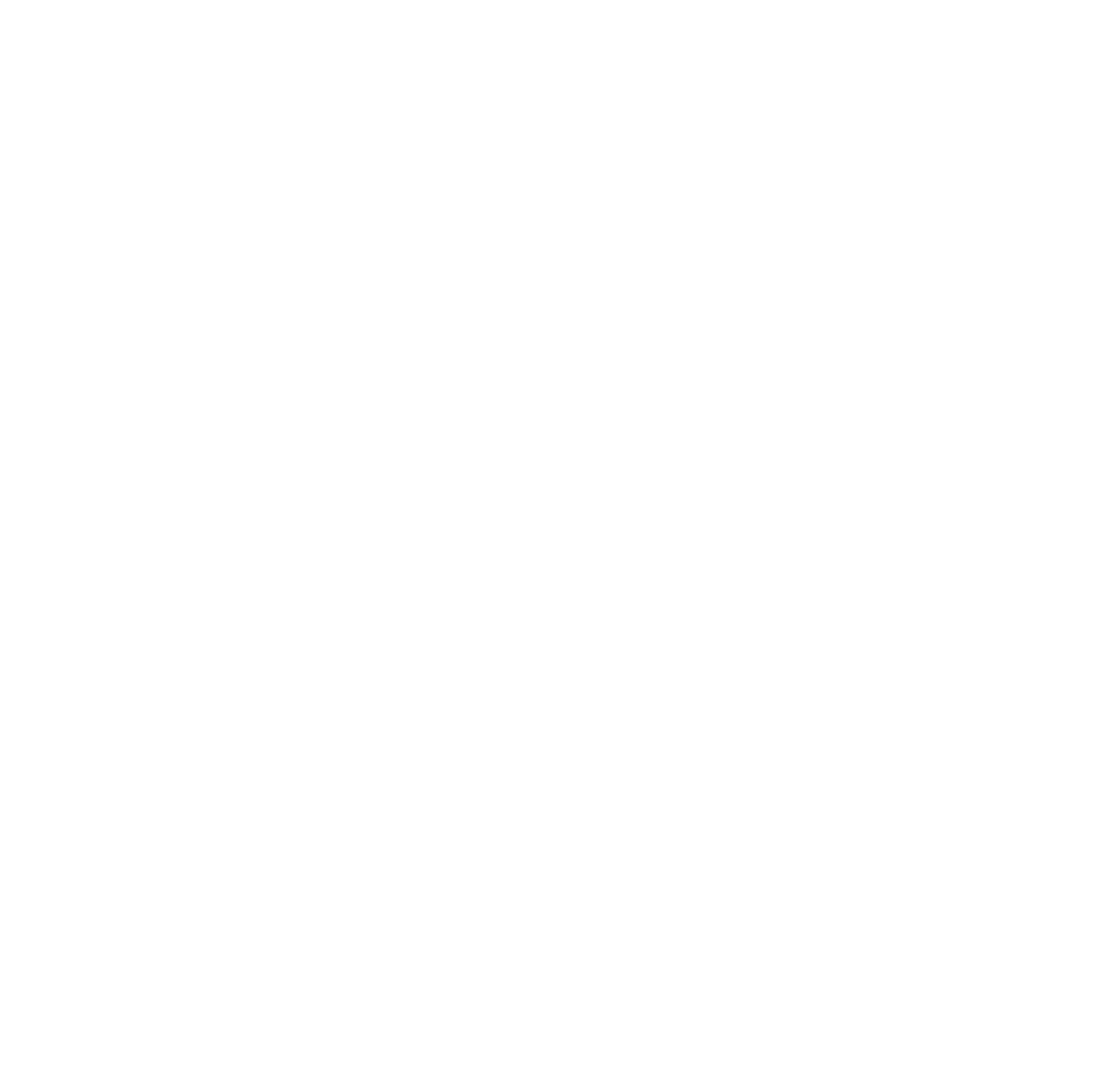 Informații despre transport: GTV BUS