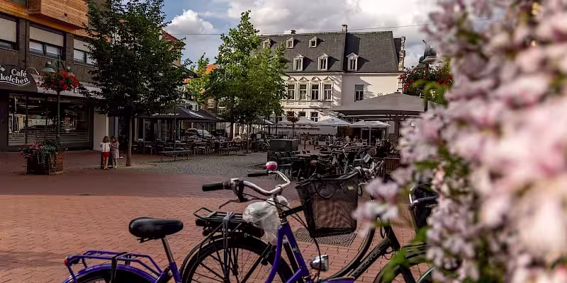 Cum vei locui în Olanda