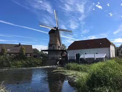 Cum vei locui în Olanda